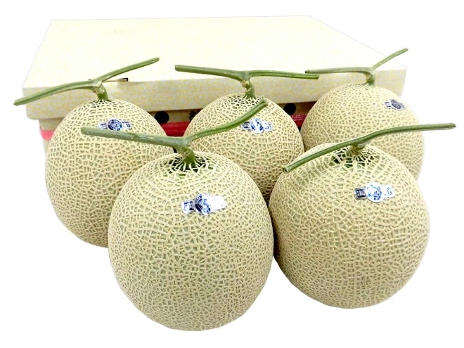 静岡産 =クラウンメロン= 最高等級 山大玉 5玉 約9kg 産地箱