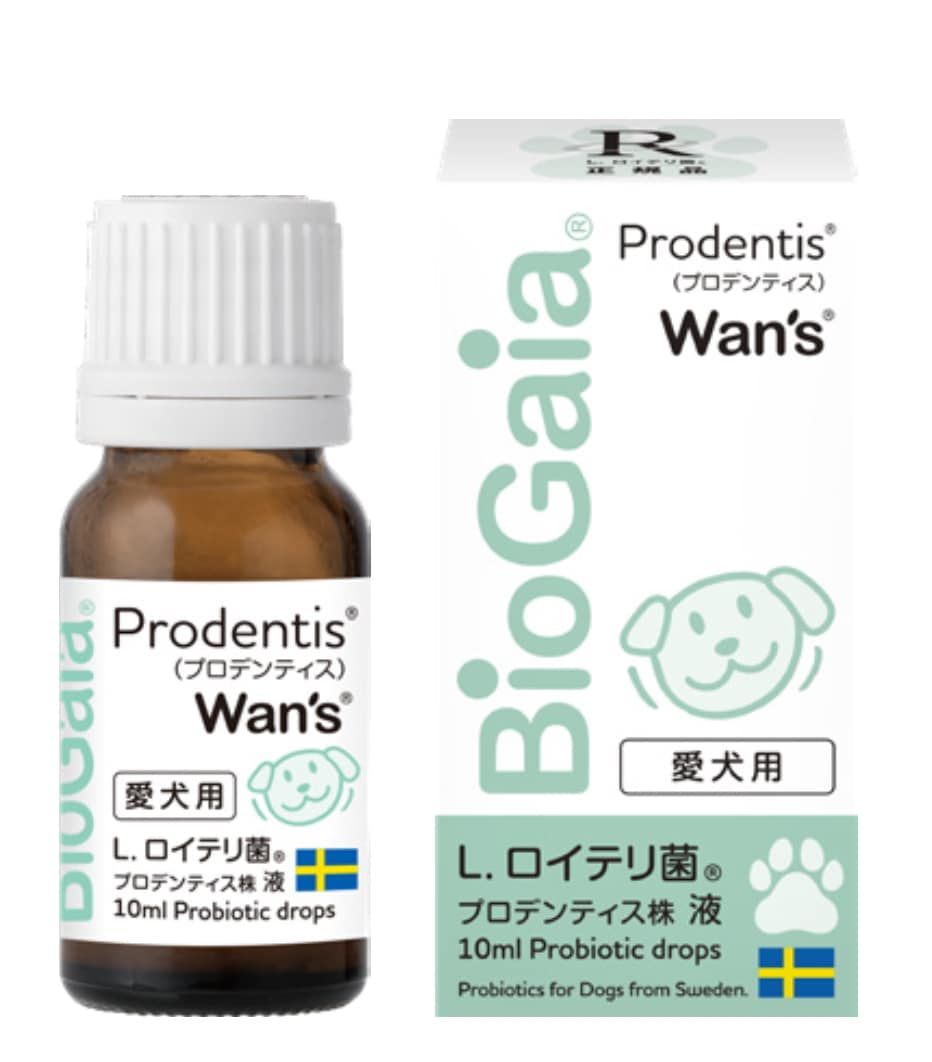 【公式ストア 即日発送】プロデンティス ワンズ Wans 10ml（犬用）ペット　無味無臭　口臭対策　乳酸菌　ロイテリ菌 マルチプロバイオティックス
