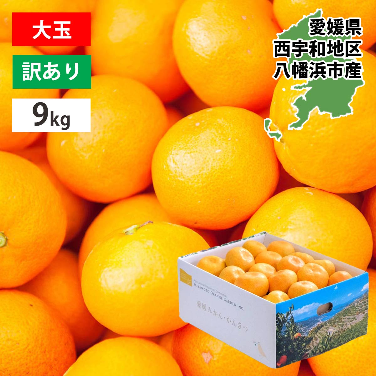 愛媛みかん 訳あり大玉 9kg ご家庭用 Lから3Lサイズ（50から70玉前後入り） 4,805円