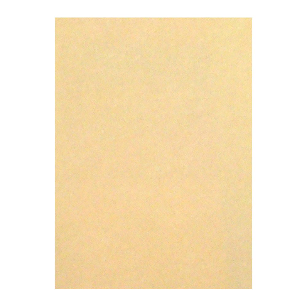 （まとめ買い）リンテック 色画用紙 ニューカラー 4切判 392x542mm 100枚 こいクリーム GO4NCR-122 [x3]