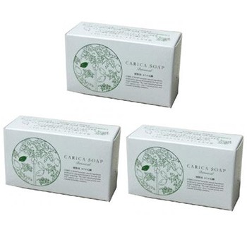 植物性カリカ石鹸　100g　3個セット パパイアの発酵食品であるカリカセラピPS-501を贅沢に配合