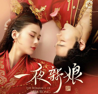 一夜の花嫁～Pirates of Destiny～ コンパクトDVD-BOX1
