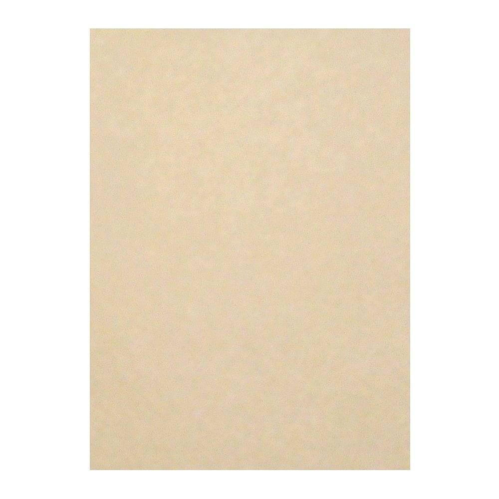 （まとめ買い）リンテック 色画用紙 ニューカラー 4切判 392x542mm 100枚 しらちゃ GO4NCR-111 [x3]