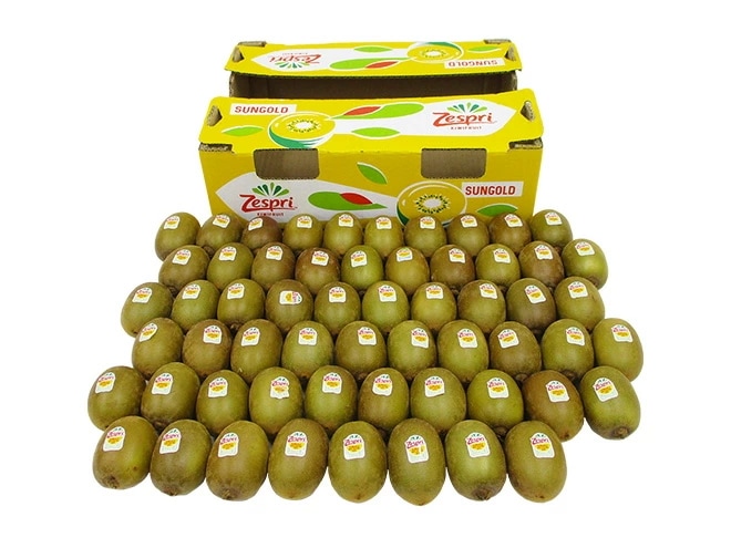 =サンゴールドキウイ= 50-60玉 約5-5.5kg 予約 4月下旬以降