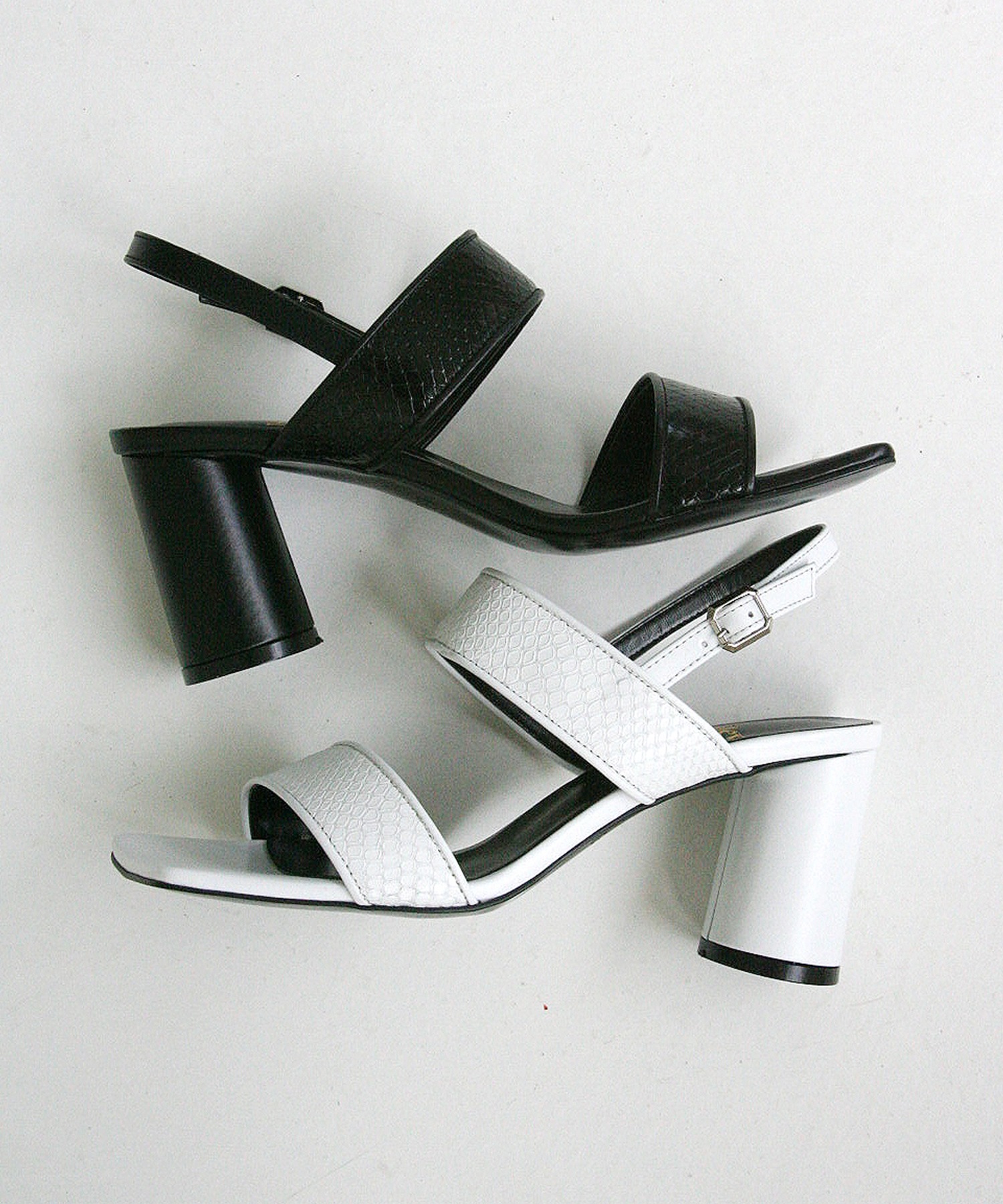 ヘイリーによる14日間の制作   HJ20025_2 カラー