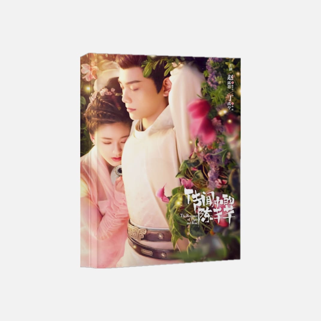 中国ドラマ『花の都に虎（とら）われて』陳千千 韓爍 趙露思 丁禹兮 ファンブック 写真ブック 画集 A4サイズ写真集 52p 中国限定グッズ