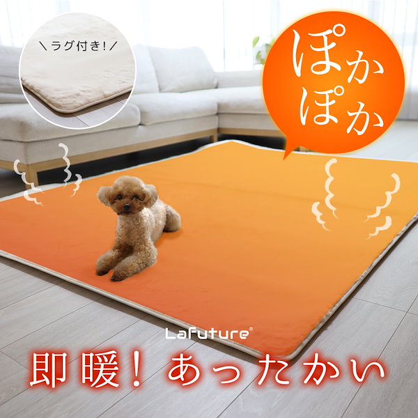 ホットカーペット 本体 カバー 2点セット 2畳用 200x198 防水