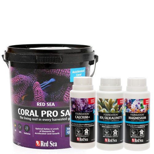 レッドシー　ＲＣＰセット　ＳＴＡＧＥ．１　リーフファンデーションプログラム　サンゴ　成長　ＣＲＣ10―35―45―10―00