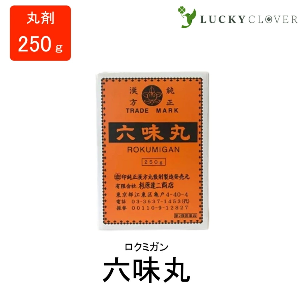 【第2類医薬品】六味丸 ろくみがん 丸剤 250g 杉原達二商店 疲労 虚労
