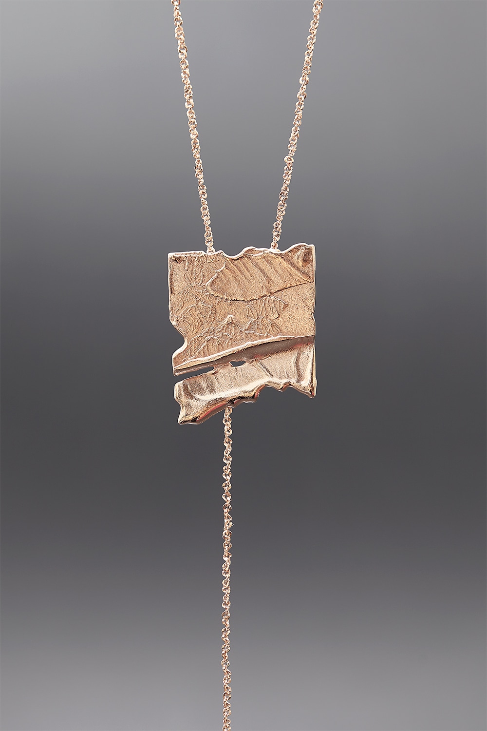[HAZINA] Rosegold Single Texture De_ Necklace