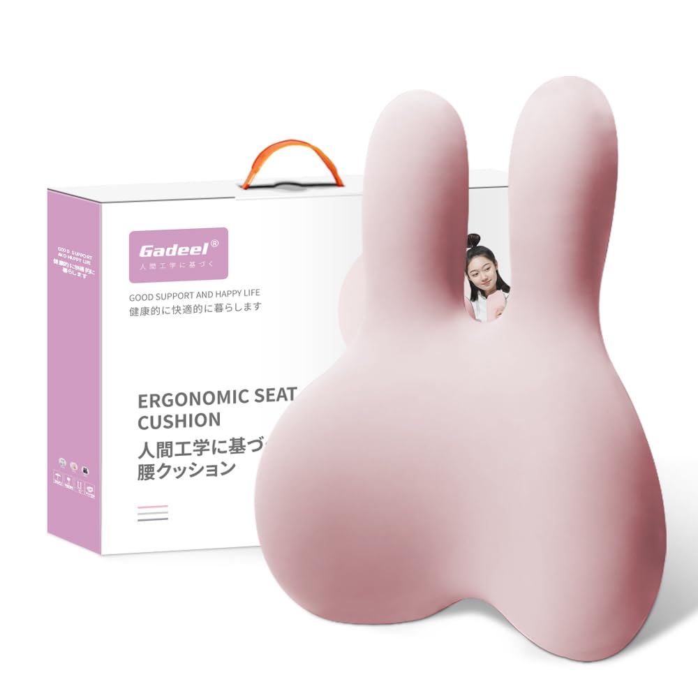 腰痛 クッション 低反発 ランバーサポート 背もたれクッション 人間工学 通気性 かわいいリラックスクッション 取付バンド調節可能 カバー洗える メモリフォーム 着座 使用場所 オ 76731