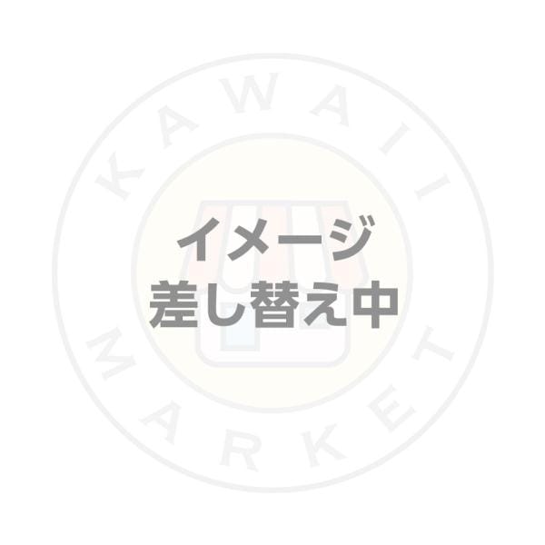ステラルー　ぬいぐるみコスチューム　2023　クリスマス　(ホワイトウィンタータイムワンダーズ)　ディズニーシー　限定　グッズキャラクターぬいぐるみ