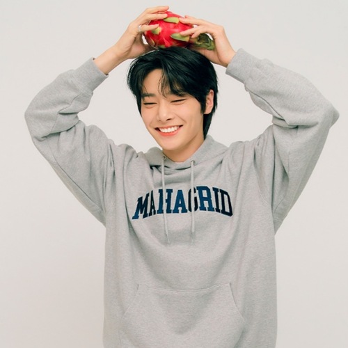 【Stray kids着用】VARSITY LOGO HOODIE GREY