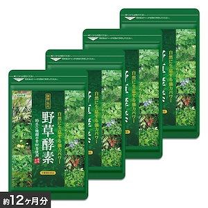 野草酵素　約１２ヶ月分