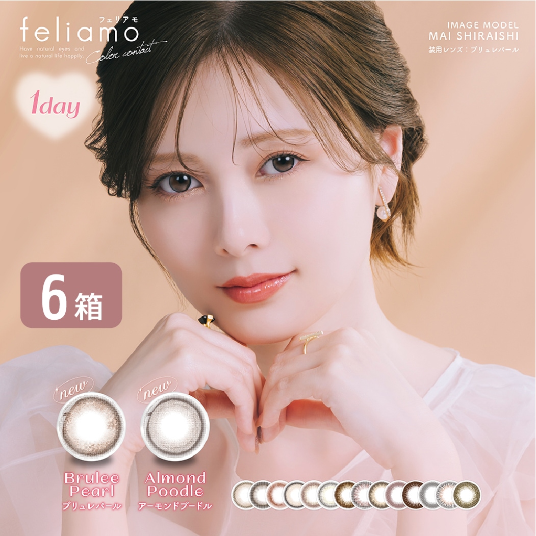 フェリアモ ワンデー 6箱セット (1箱10枚) feliamo 1day カラコン ワンデー