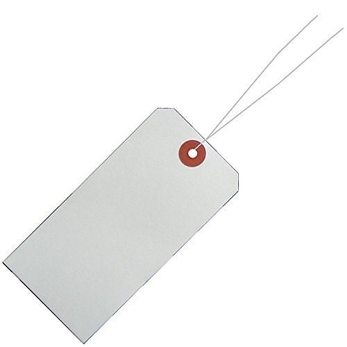 （まとめ買い）リュウグウ 針金荷札[x100]1穴 1000枚入 HG-101 00802891 [x3]