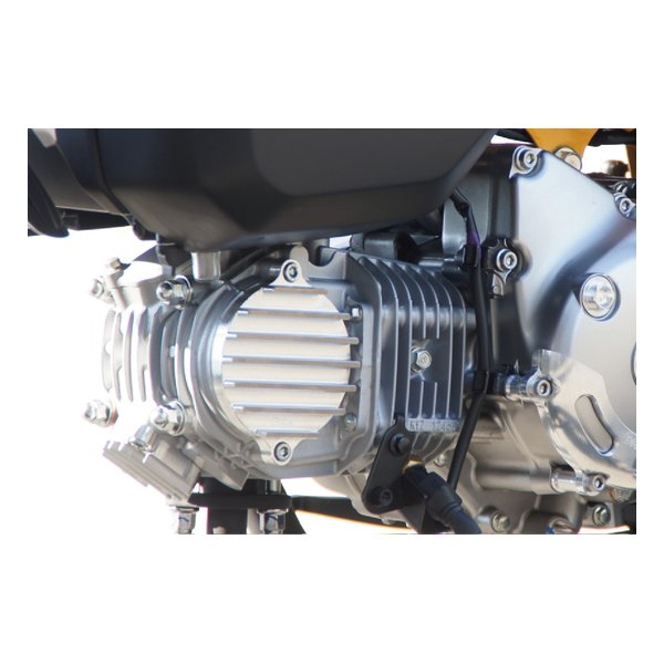 カムカバー シルバー モンキー125 31256