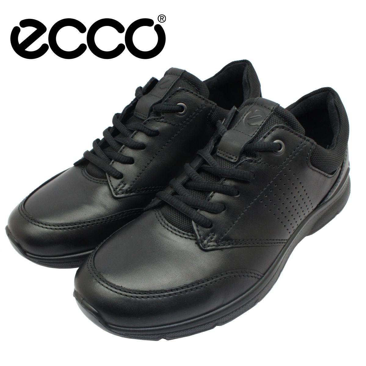 エコー ecco メンズ レザースニーカー アーヴィング IRVING ウォーキングシューズ 511734 ローカット カジュアル 紐靴 本革