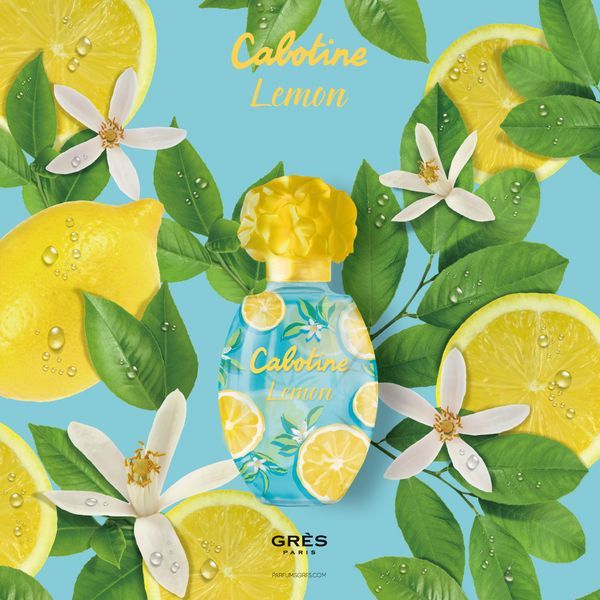 カボティーヌ レモン 19 EDT 50ml 製品画像