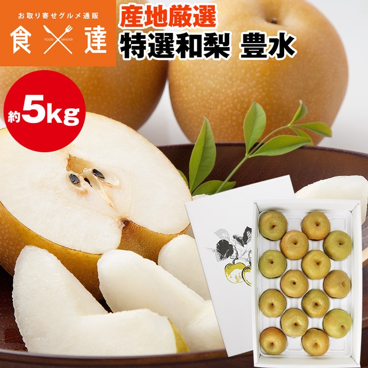 梨 豊水 ギフト 5kg 10-16玉 2L-5Lサイズ 青秀以上 贈答 産地厳選 和梨 赤梨 ほうすい 三水 ナシ フルーツ 冷蔵便 同梱不可 指定日不可