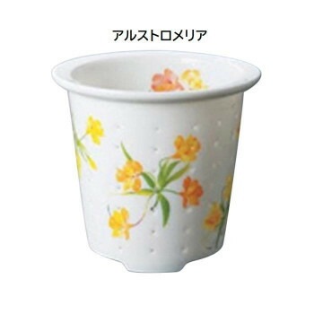 ティーフォーワン 誕生花 11月 アルストロメリア TFO-003 4,366円