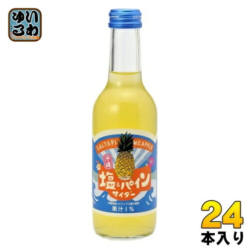 友桝飲料 塩&パインサイダー 245ml 瓶 24本入 地サイダー 炭酸ジュース タンサン 4,876円