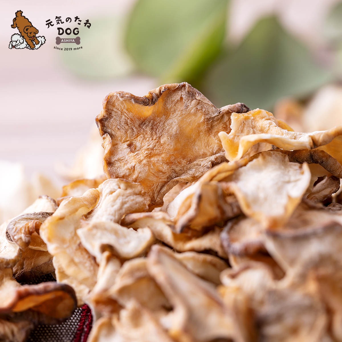 犬 おやつ 国産 無添加 菊芋 きくいも 500g 菊芋チップス サプリ 菊芋イヌリン キクイモ スライス 犬のおやつ 低カロリー 低脂肪 いぬ ドックフード グッズ ペット ご褒美 フード