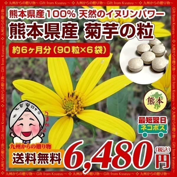 菊芋の粒(90粒6袋) 約6ヶ月分 菊芋 熊本県産菊芋使用 いまテレビで話題 イヌリンパワー お取り寄せ キクイモ 国産 熊本 九州産 イヌリン 野菜
