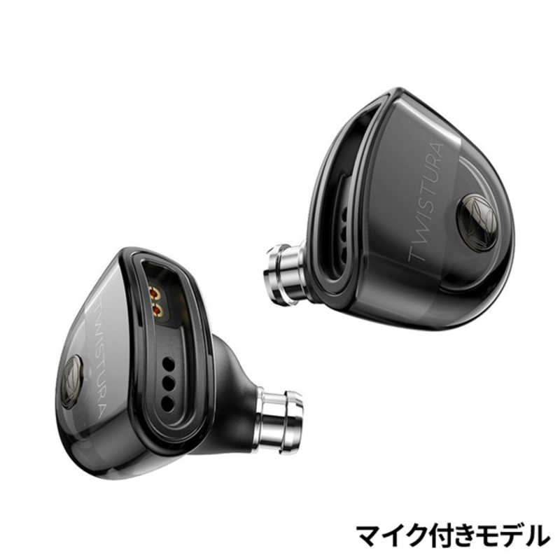 TWISTURA　イヤホン カナル型 ［φ3.5mm ミニプラグ］　D-Minor With Mic