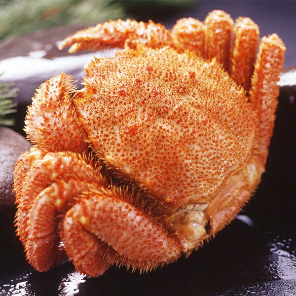 ギフト 蟹 カニ 送料無料 北海道産 ボイル毛がに姿 冷凍便 3440488『SKT』 詰め合わせ お取り寄せグルメ セット 誕生日 お祝い 内祝い【内祝い ギフトセット】