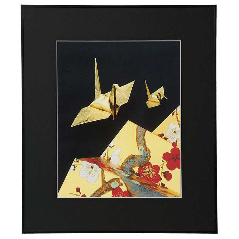 ケンコー　画廊 半切ブラックアクリル　AGR-H-BK-AC