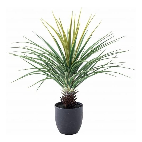 フェイクグリーン ミニパイナップル 約W61×D61×H67 GRN-12