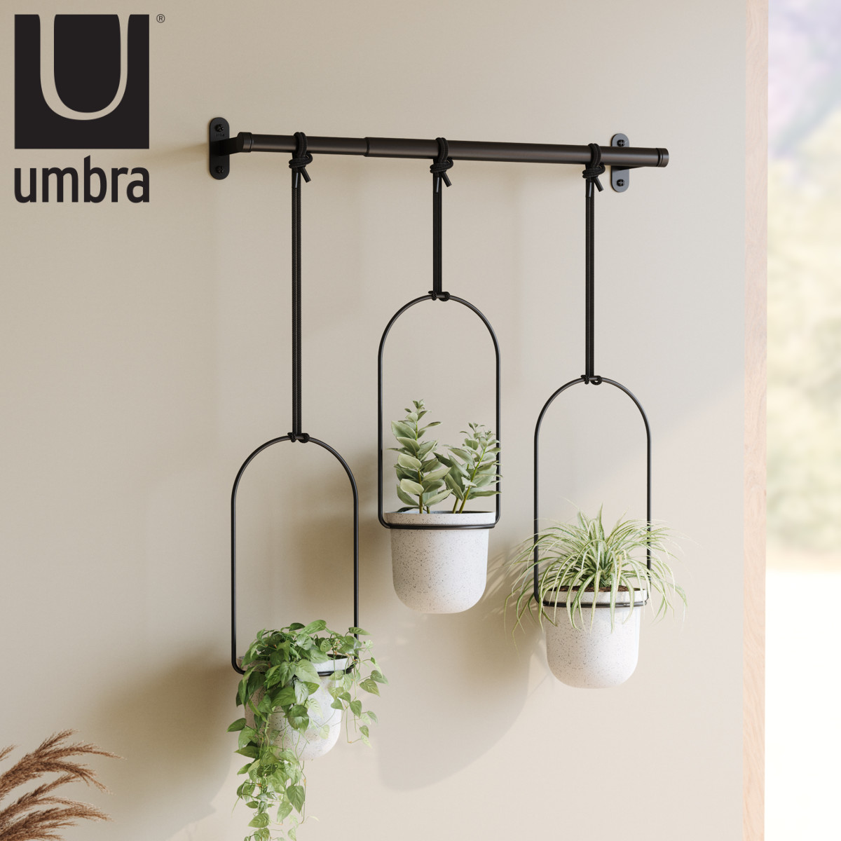 プランター Umbra トリフローラ ハンキングプランター ハンギングポット ハンギング 吊り下げ 植木鉢カバー 植木鉢 カバー 観葉植物 鉢植え 室内 ハンギングバスケット