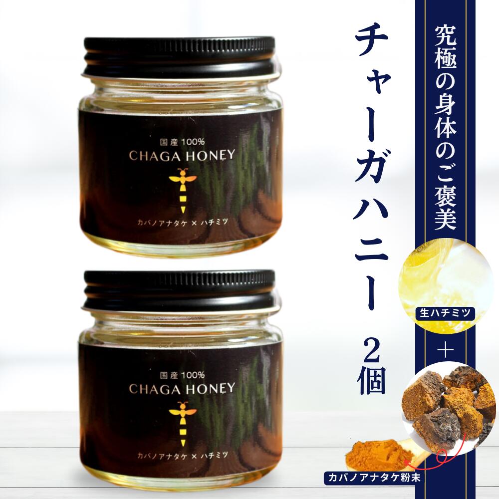 チャーガハニー カバノアナタケ 102g 生はちみつ 非加熱 蜂蜜 樺のあな茸 添加物不使用 国産 プラスケア正規品 2個セット 森のダイヤモンド カバノアナタケ