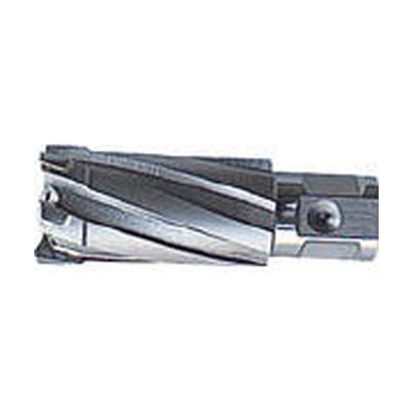 大見 CCSQ300 35SQクリンキーカッター 刃径30.0mm メーカー直送