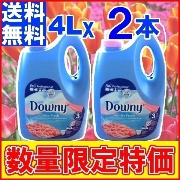 国内発送送料無料ダウニー2本セット アジアンダウニーDownyベトナムダウニー 4L ヘロカ サンラ メガ割