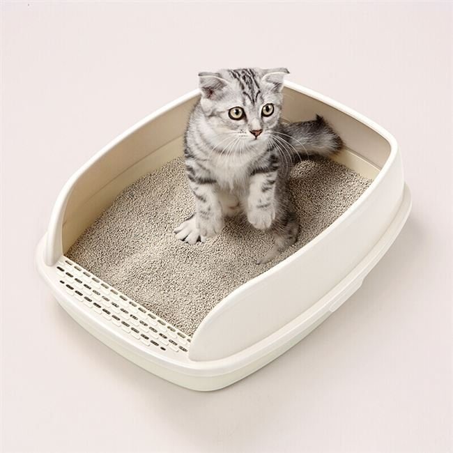 猫トイレ ネコトイレ 猫 ペット用 猫用 本体 猫用トイレ用品 おしゃれ 人気