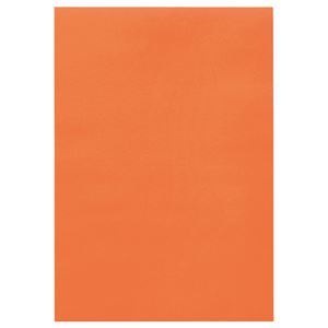 （まとめ） TANOSEE 色画用紙 八つ切 だいだい 1パック（10枚） [x30セット]