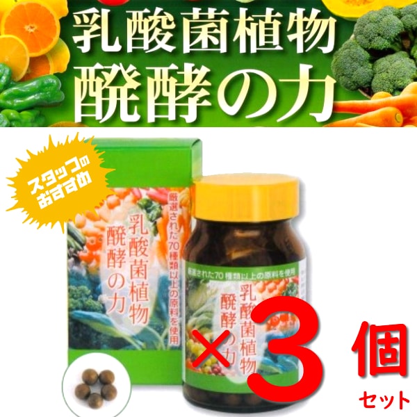 円高還元 サプリメント 飲みやすい 健康 発酵食品手作業 オオバコ アケビ ヤマモモ 健康食品 乳酸菌 天然素材 3個セットでお得乳酸菌植物 醗酵の力  ダイエット 乳酸菌サプリ お通じ 栄養不足 野菜不足 乳酸菌配合 - flaviogimenis.com.br