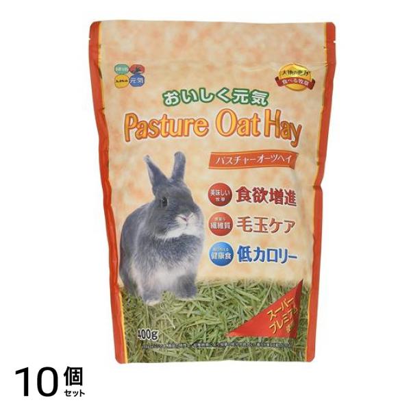 ハイペット 食べる牧草 パスチャーオーツヘイ 400g 10個セット