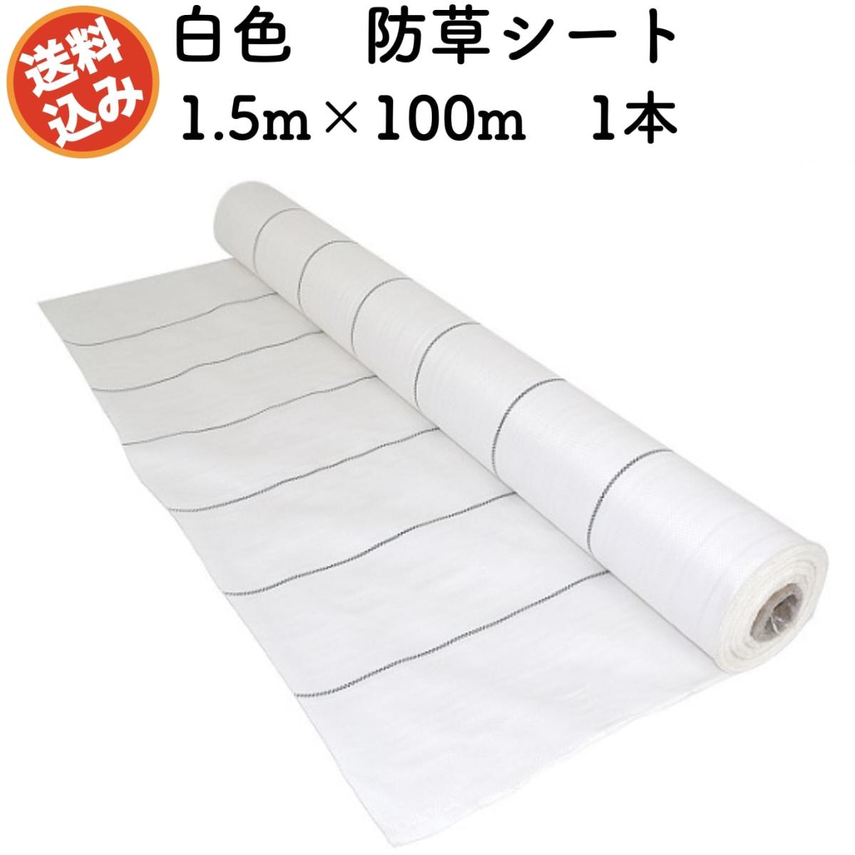 防草シート 白色（サンホワイト） 1.5m100m 1本 抗菌剤 UV剤入り 反射 草抑え 除草シ