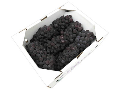 Qoo10] 山梨産 種なしぶどう =キングデラウェア : 食品