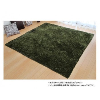 ソフトシャギー調ラグ 「ラルジュ」 4畳 グリーン 約200×300cm 1280200121403