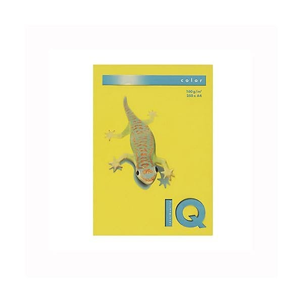 （業務用セット） 伊東屋 バイオトップカラー A4判 250枚入 160g／m2 BT829 マスタード 2セット