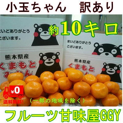 【暴走企画！】小玉ちゃん　熊本みかん　訳あり　...のサムネイル