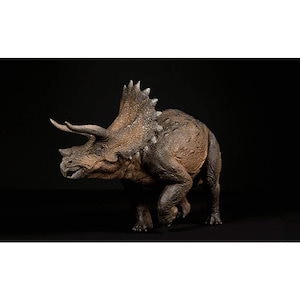 Nanmu 本心楠改 1/35 サイズ トリケラトプス Triceratops 恐竜 植物食 リアル フィギュア PVC プラモデル おもちゃ 模型 プレゼント プレミアム 29cm級 オリジナル 塗