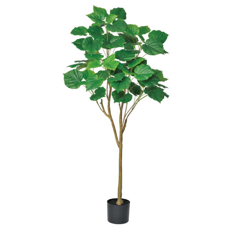 アスカ商会　フェイクグリーン ウンベラータ グリーン　A-51039-051A