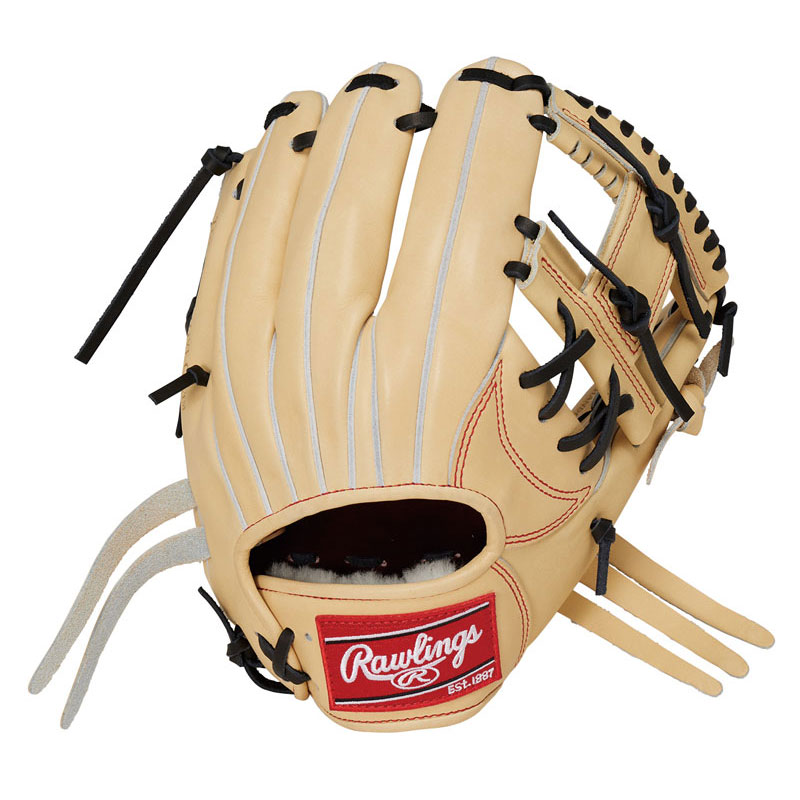 硬式 プロプリファード N6X CAM 硬式用グローブ グラブ 継続 GH4PRN6X