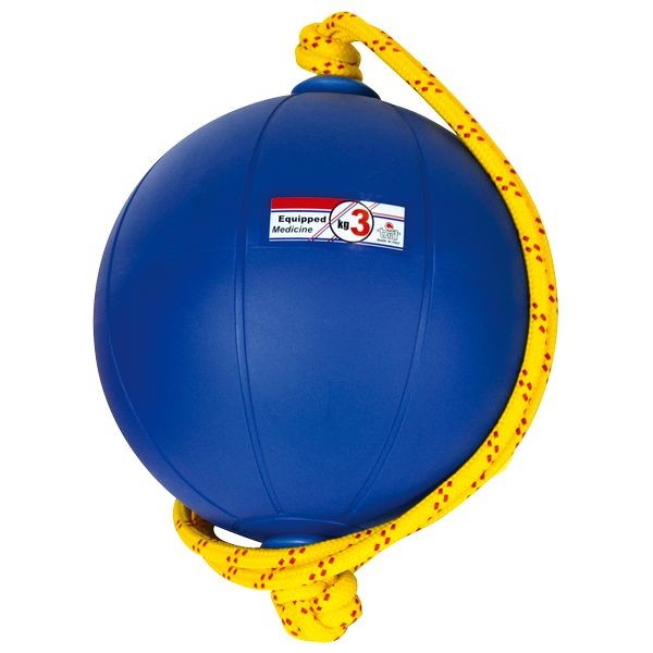 ニシスポーツ NISHI スウィングメディシンボール 3kg T5913-960