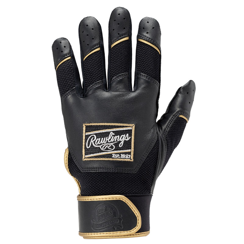 Pro Preferred バッティンググラブ 25SS PPBG